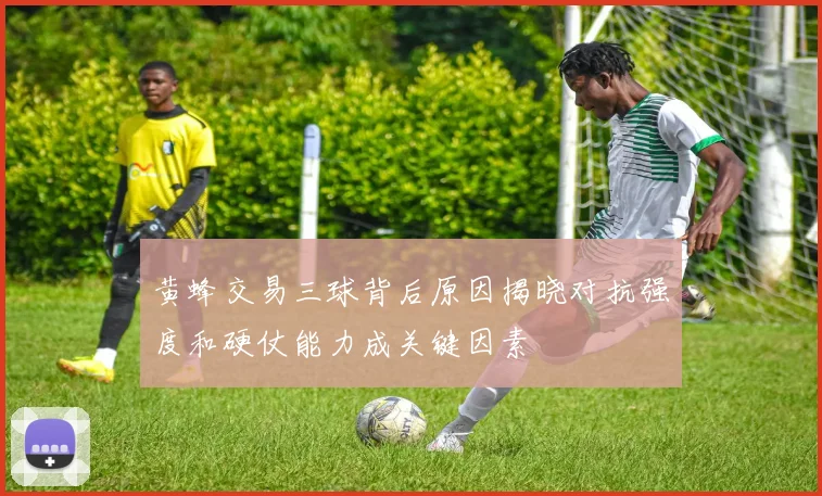 黄蜂交易三球背后原因揭晓对抗强度和硬仗能力成关键因素